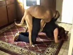 Prepared dilettante white wife wears crotchless jeans for zoophilia sex with her lustful dog 